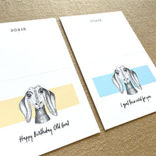 Load image into Gallery viewer, The Goat - Pack of 24