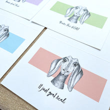 Load image into Gallery viewer, The Goat - Pack of 6