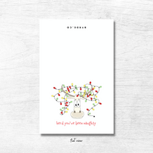 Load image into Gallery viewer, Santa&#39;s Helpers - Variety Holiday Cards
